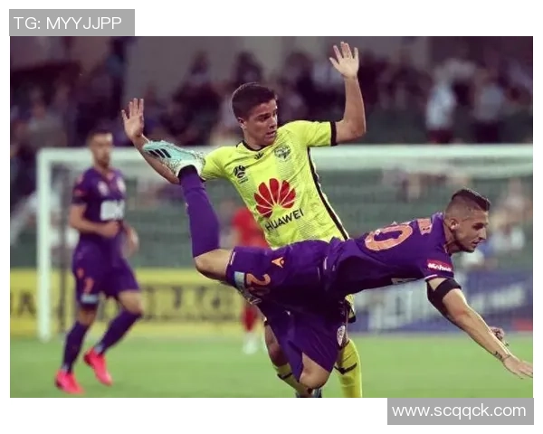 珀斯光荣与惠灵顿凤凰对决分析及赛前预测展望